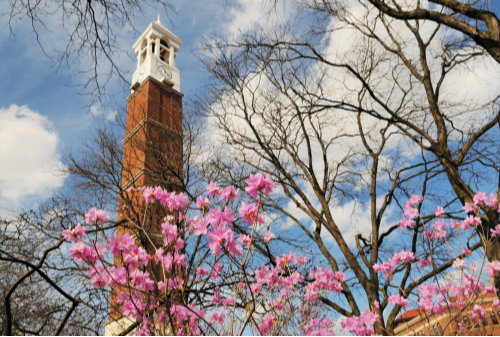Why the New Ivies Are Gaining Ground