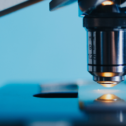 AP Biology Preview 2026 Summer Boot Camp