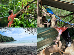 Volunteer Abroad Costa Rica 2026